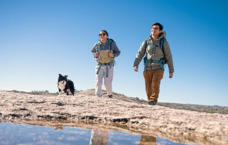 Two people and a border collie hiking on a clear day