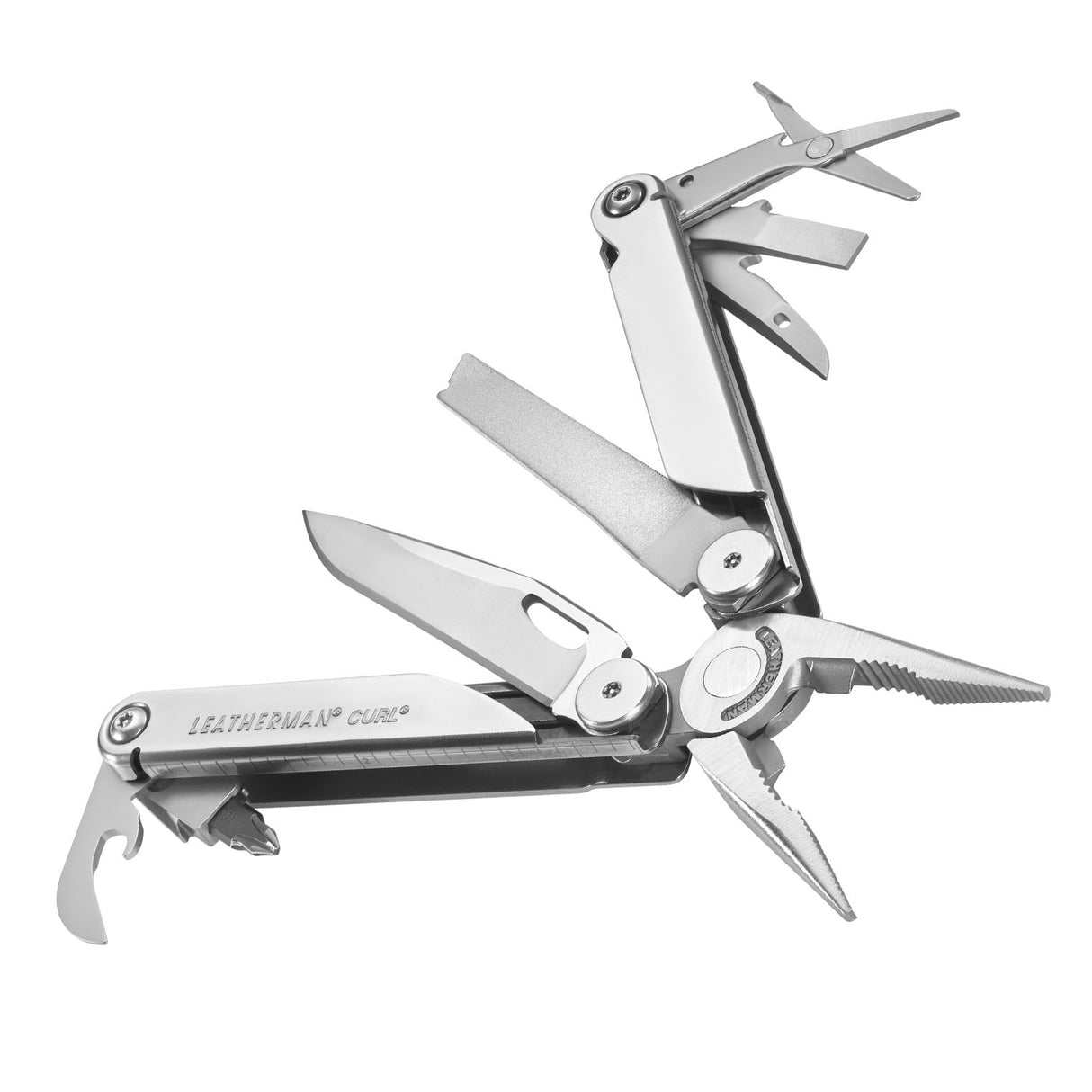 Translation missing: en.Curl canted and in open fanned position