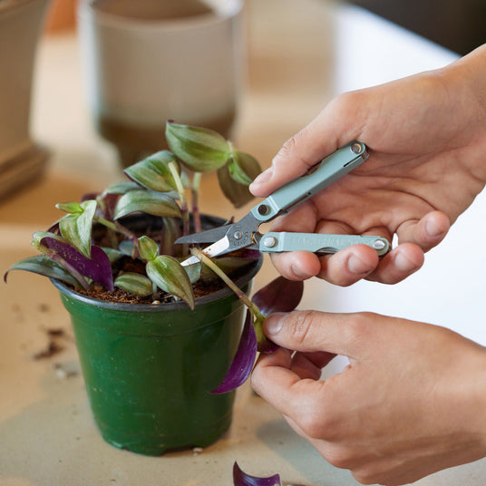 Person using a Micra to cut a plant stem